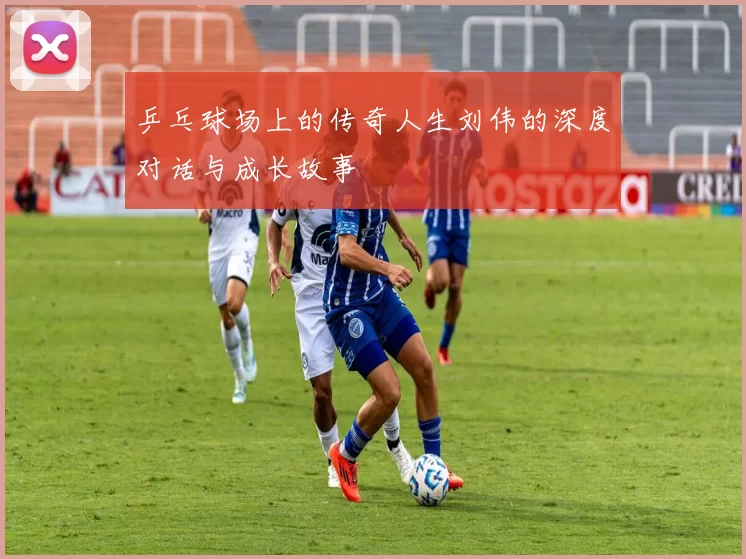乒乓球场上的传奇人生刘伟的深度对话与成长故事