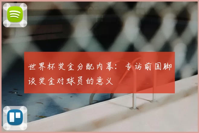 世界杯奖金分配内幕：专访前国脚谈奖金对球员的意义