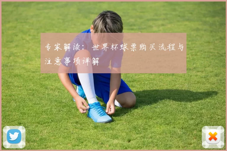 专家解读：世界杯球票购买流程与注意事项详解