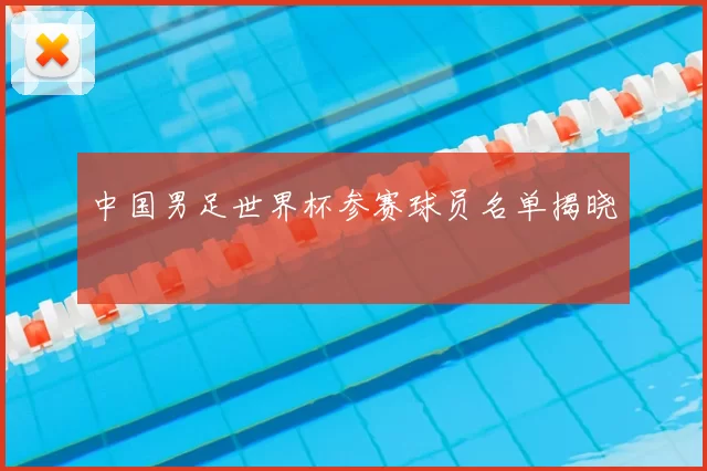 中国男足世界杯参赛球员名单揭晓