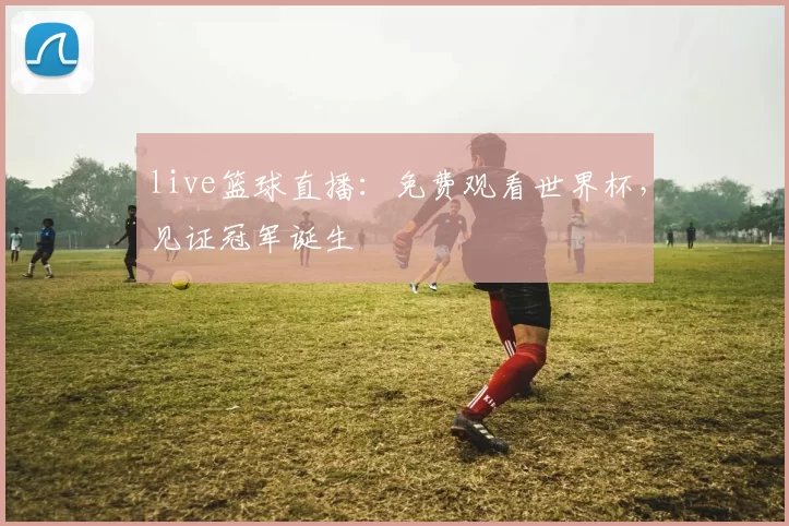 live篮球直播：免费观看世界杯，见证冠军诞生