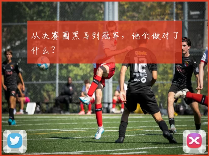 从决赛圈黑马到冠军，他们做对了什么？