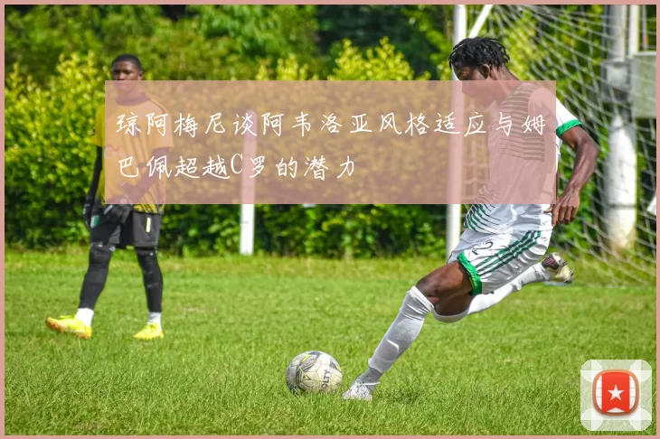 琼阿梅尼谈阿韦洛亚风格适应与姆巴佩超越C罗的潜力