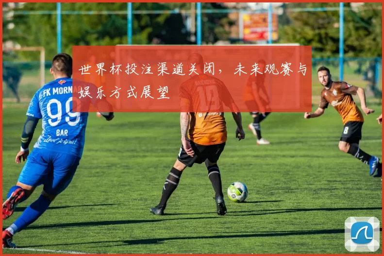 世界杯投注渠道关闭,未来观赛与娱乐方式展望