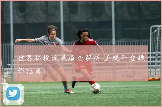 世界杯投注渠道全解析 正规平台操作指南