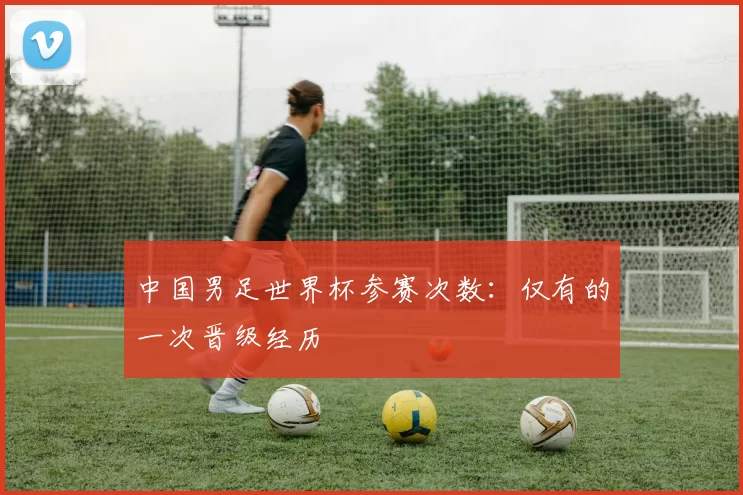 中国男足世界杯参赛次数：仅有的一次晋级经历