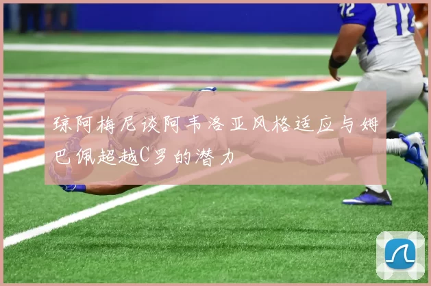 琼阿梅尼谈阿韦洛亚风格适应与姆巴佩超越C罗的潜力