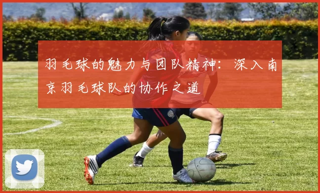 羽毛球的魅力与团队精神：深入南京羽毛球队的协作之道
