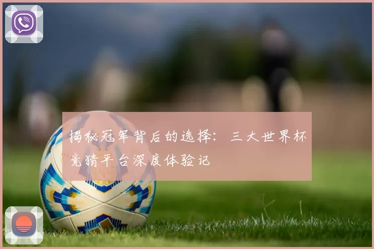 揭秘冠军背后的选择：三大世界杯竞猜平台深度体验记