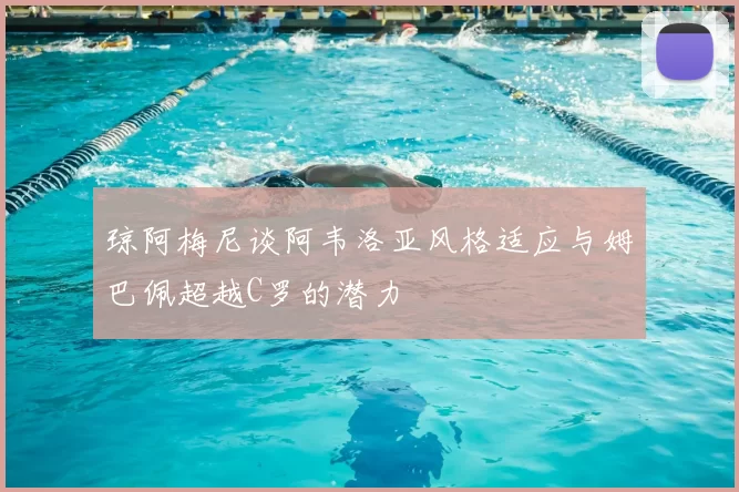 琼阿梅尼谈阿韦洛亚风格适应与姆巴佩超越C罗的潜力