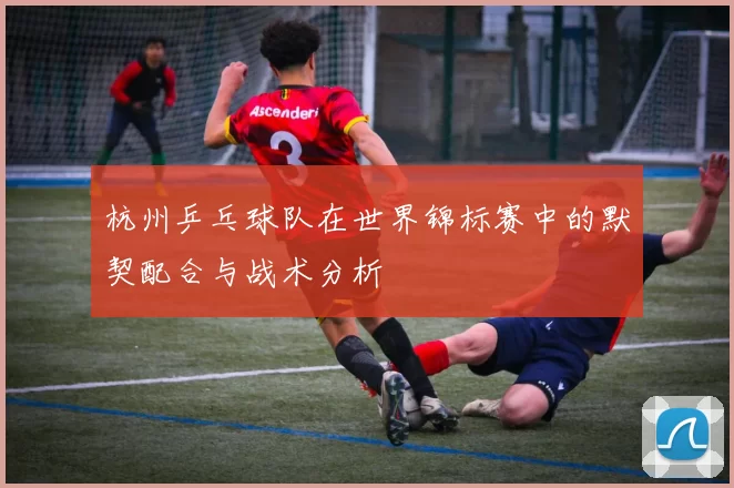 杭州乒乓球队在世界锦标赛中的默契配合与战术分析