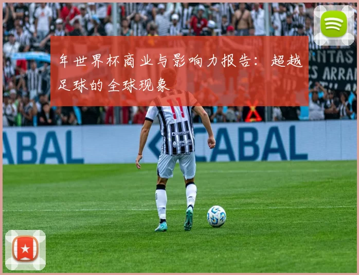 年世界杯商业与影响力报告：超越足球的全球现象