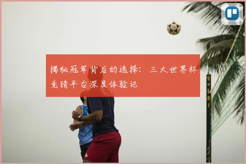 揭秘冠军背后的选择：三大世界杯竞猜平台深度体验记