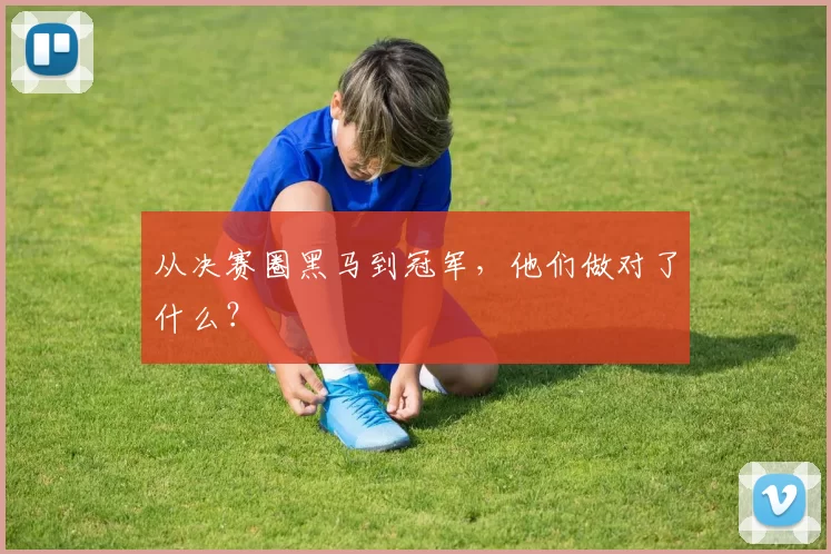 从决赛圈黑马到冠军，他们做对了什么？