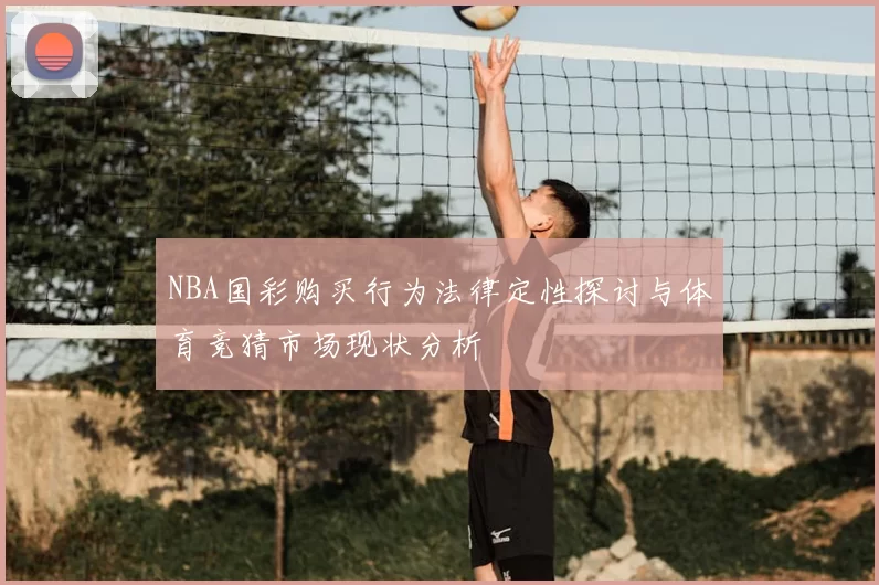 NBA国彩购买行为法律定性探讨与体育竞猜市场现状分析